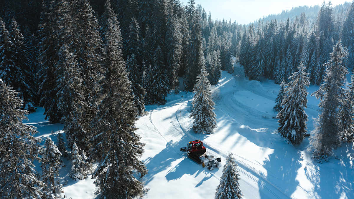 Alle Loipen der Region Seefeld werden täglich frisch präpariert.