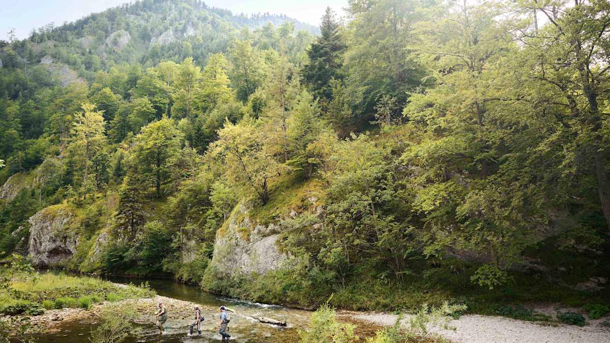Beim Fliegenfischen führt der Weg oft direkt durch den Fluss.