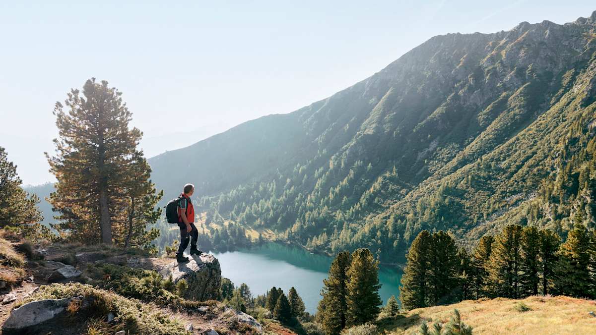 Der idyllische Blick auf den Großen Scheibelsee