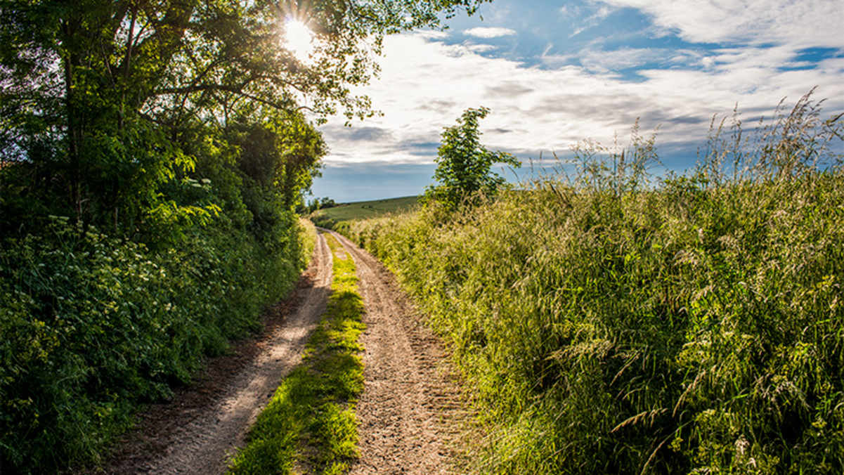 Der Märkische Landweg