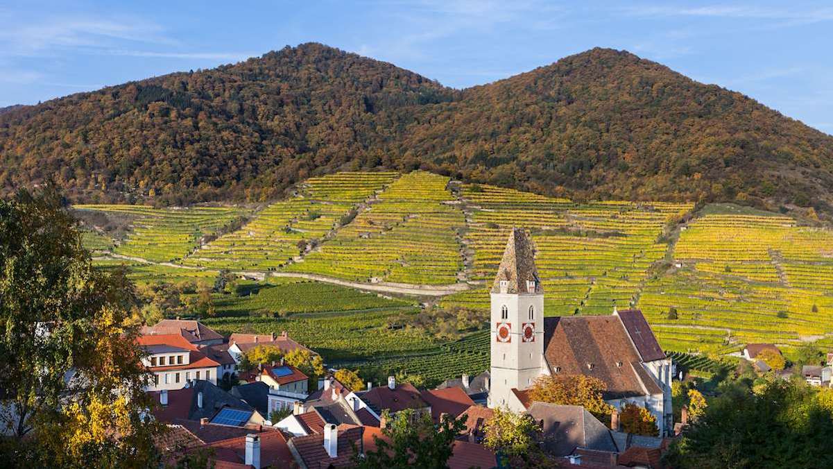 Der malerische Ort Spitz an der Donau inmitten der Wachau