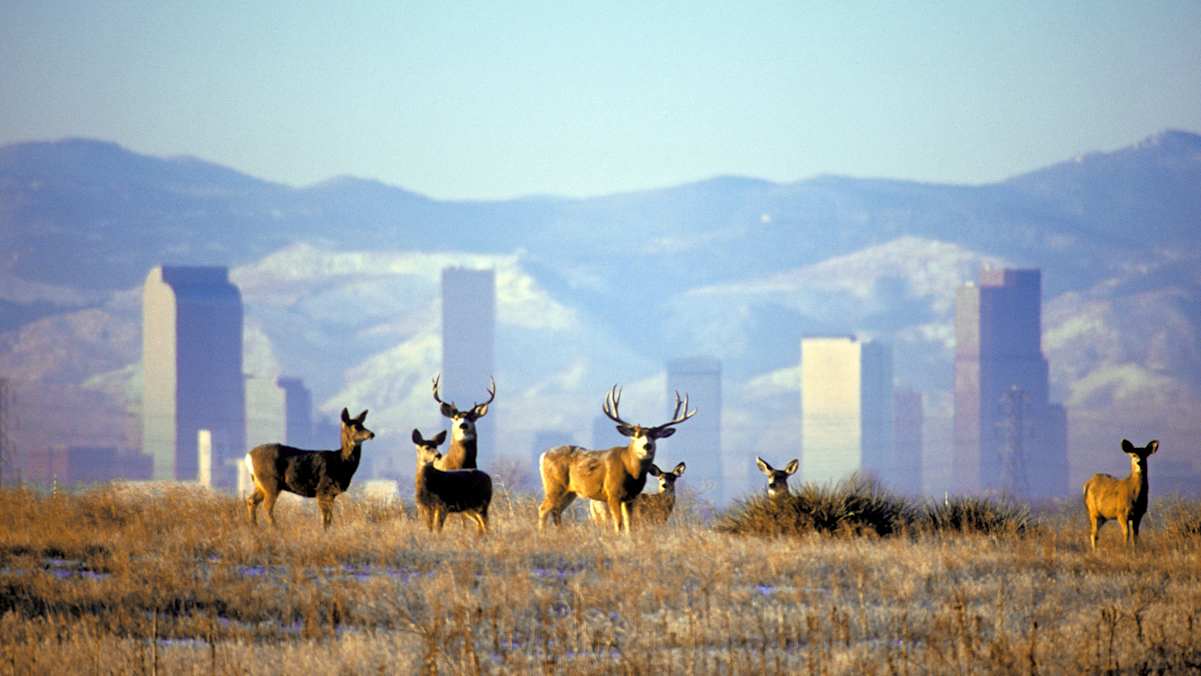 Colorado Outdoor Reisen 2020