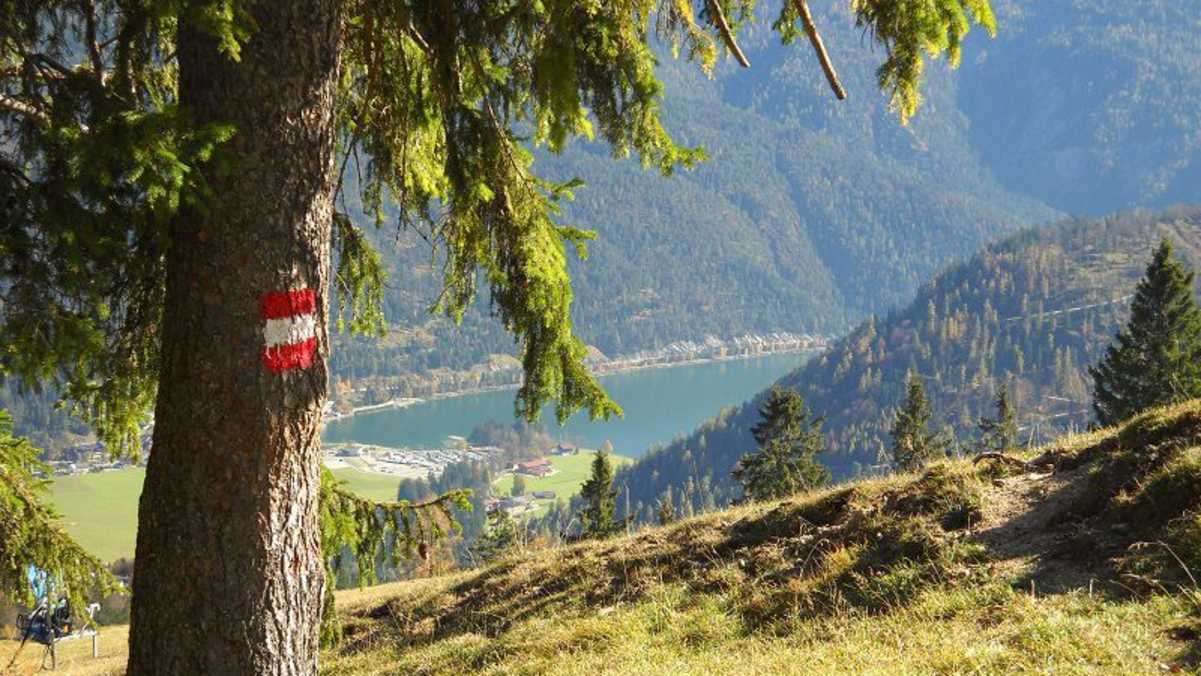 Blick von der Moosenalm auf den Achensee.