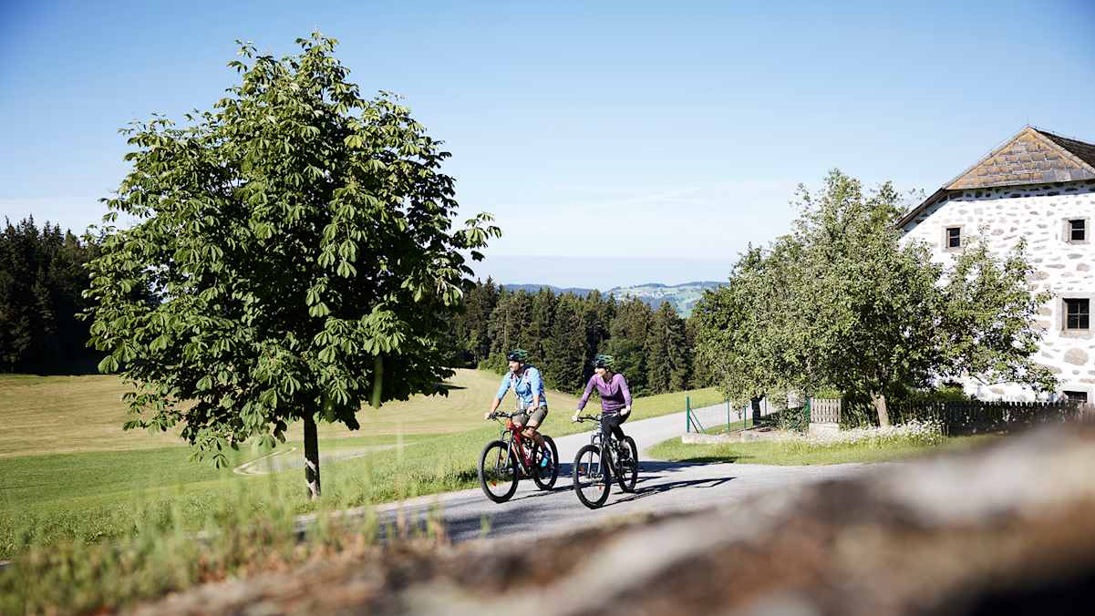 Zwei Radfahrer auf einer Panoramatour im Mühlviertel, umgeben von Wiesen, Wäldern und typischen Granitbauten.