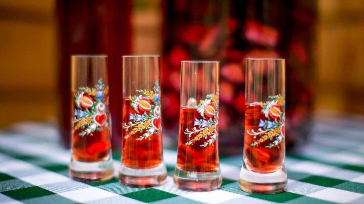 Zirben-Ernte: Hier gibt es den besten Zirbenschnaps