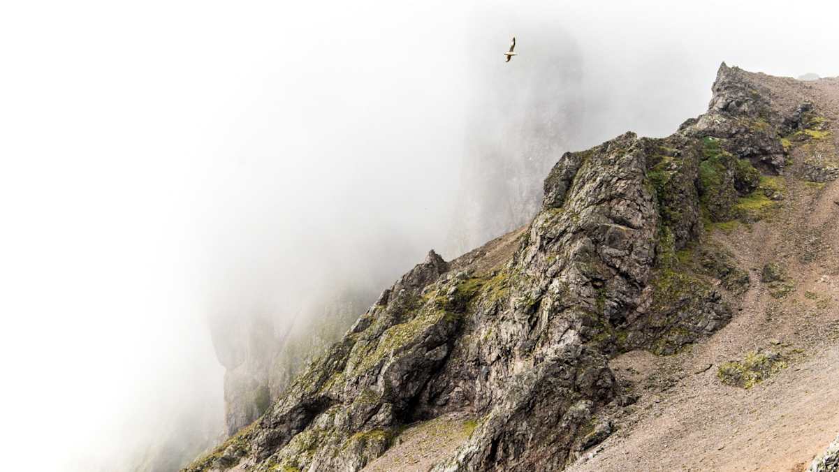 Nebelverhangene Felstürme an Islands Ostküste