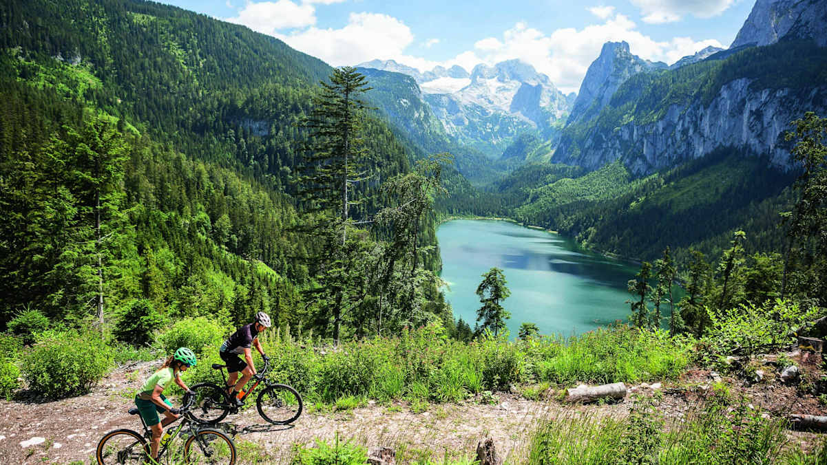Ob für steile Trails oder gemütliche Touren: Für jede Situation gibt es das passende Mountainbike