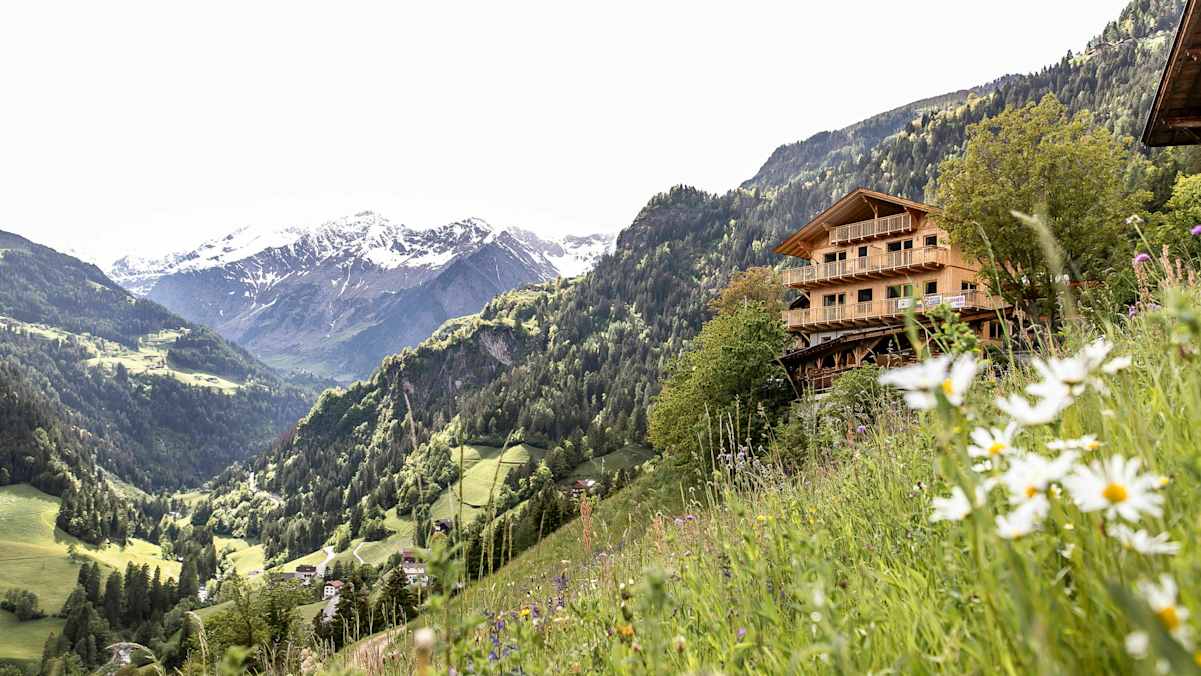 grüne Hänge mit Blumenwiesen, am Hang der Niedersteinhof und im Hintergrund verschneite Gipfel Südtirols