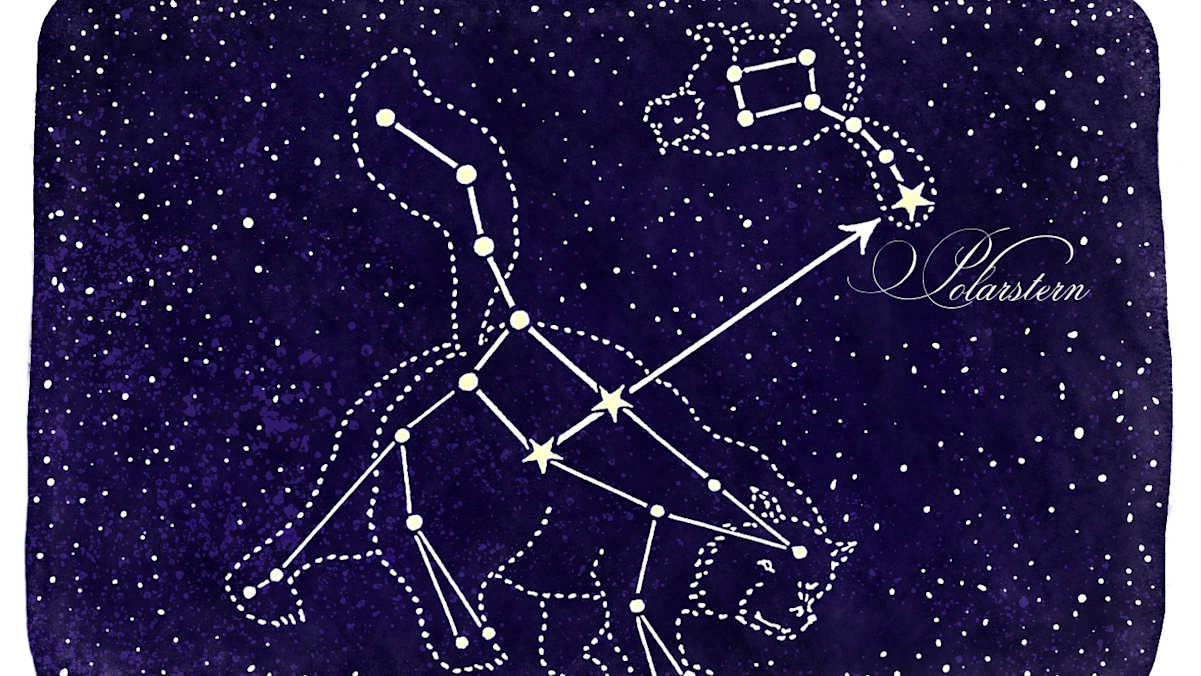 Sternbilder ; kleiner und großer Bär