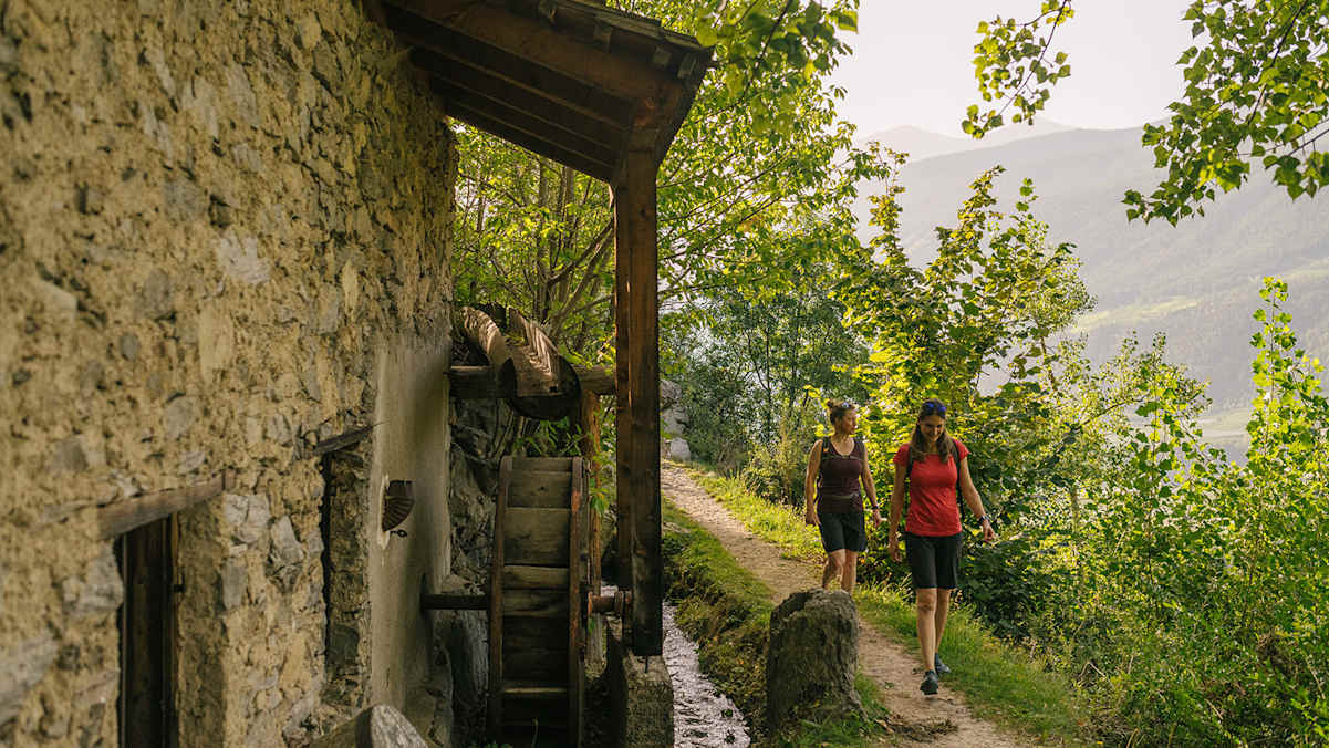 Vinschgau Coworkation