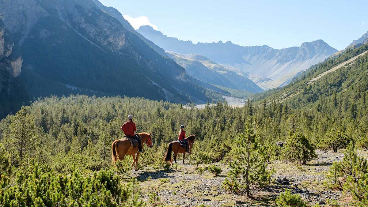 Pferdetrekking Schweiz