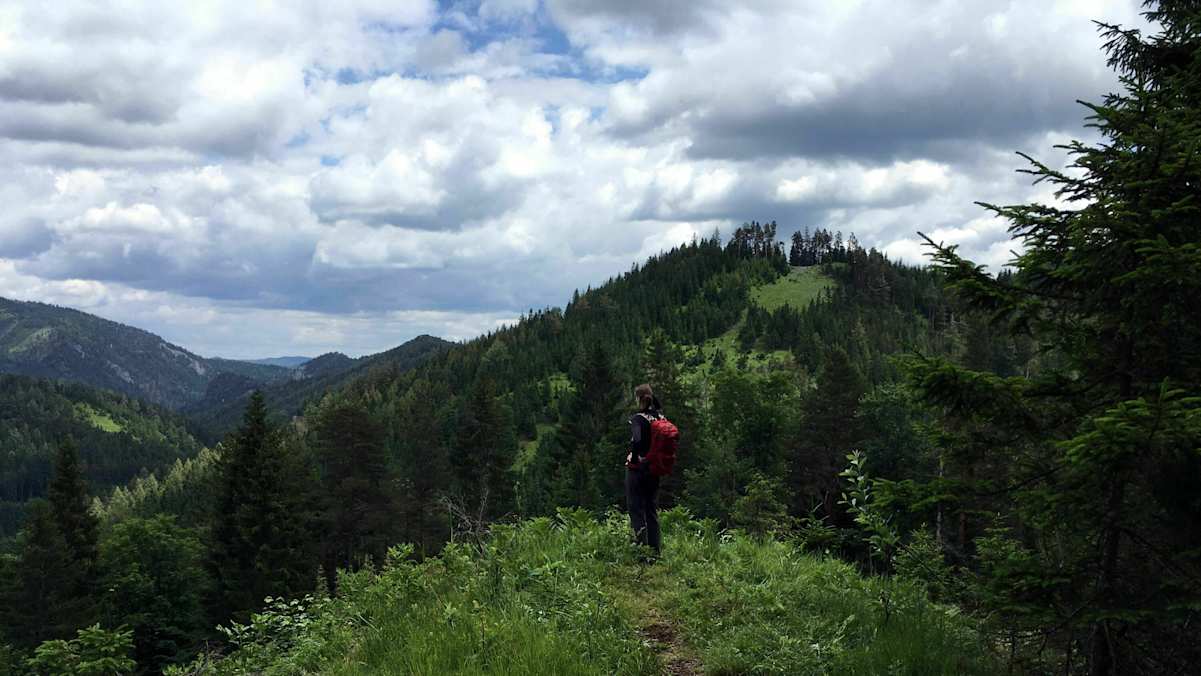 Pilgern von Wien nach Mariazell in Niederösterreich