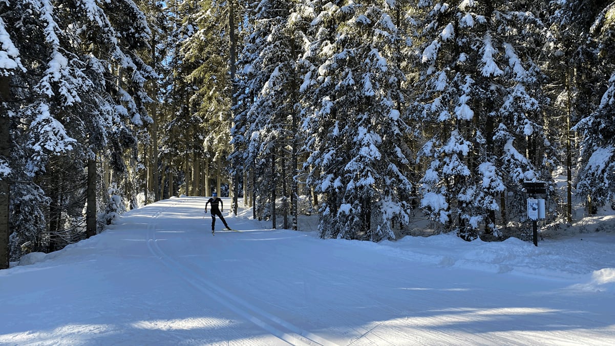Der Biathlet Lukas Hofer zeigt uns die schönsten Loipen seiner Heimat Südtirol