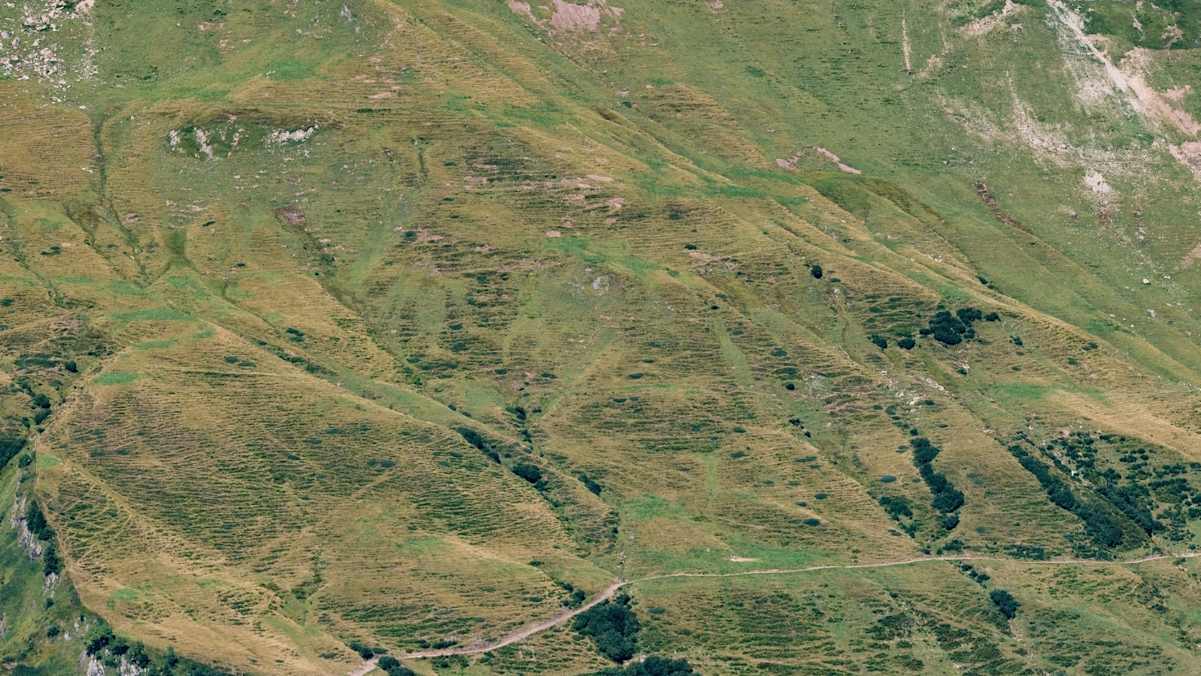 Das Prinz-Luitpold-Haus.