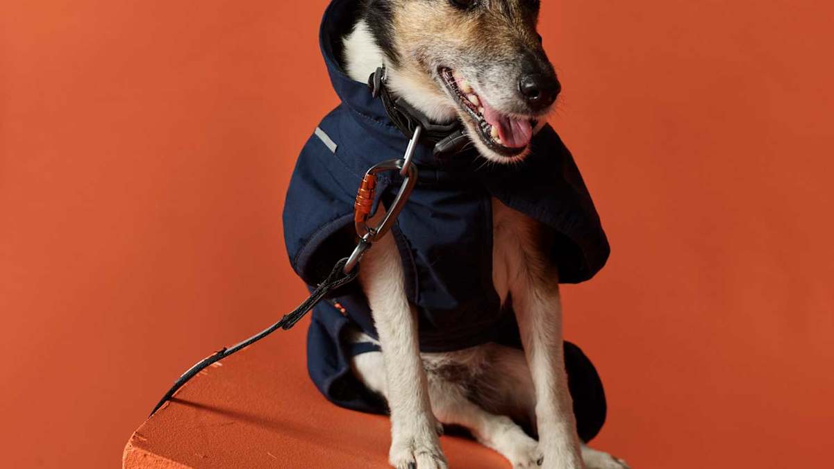 Mantel Non-Stop für Hunde