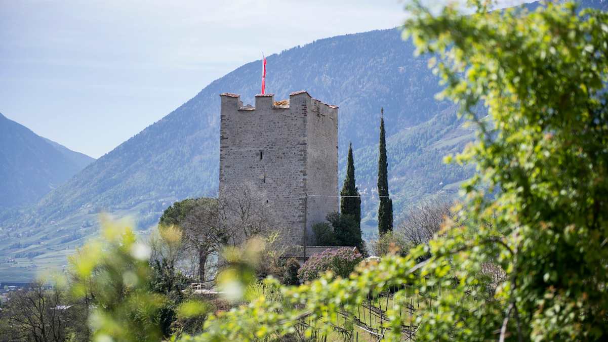 Pulverturm über Meran zwischen Bäumen