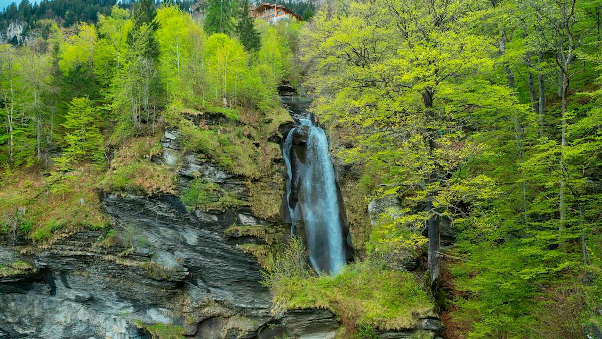 Reichenbachfall