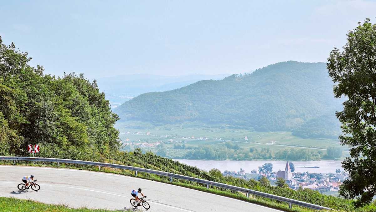 Blick von der Seiberer Straße in das Donautal