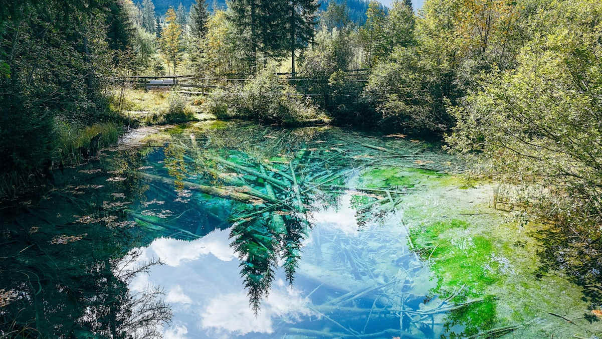 Ein glasklarer Teich in der Natur.