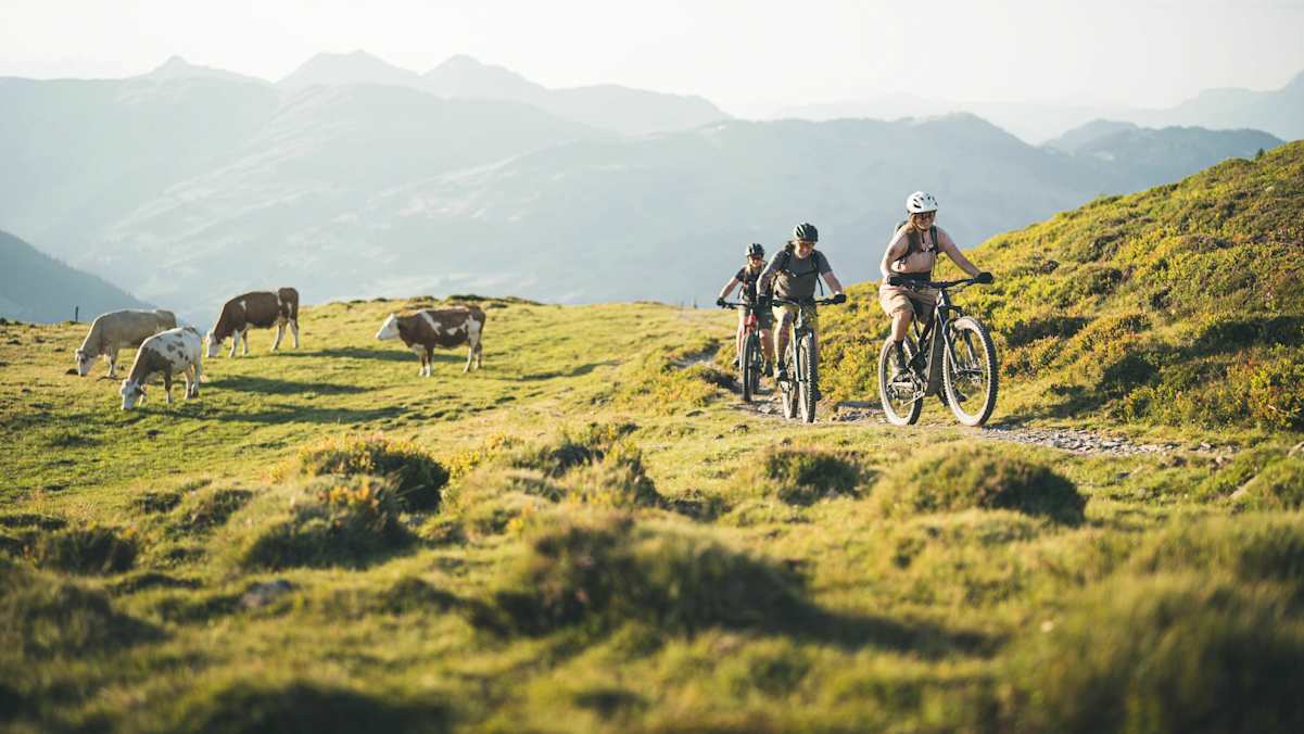 Dank E-Bike steigen wieder mehr Menschen aufs Rad, machen Sport und genießen die Landschaft.
