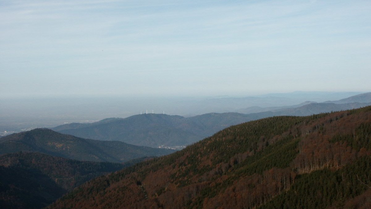 5 Wanderungen im Schwarzwald
