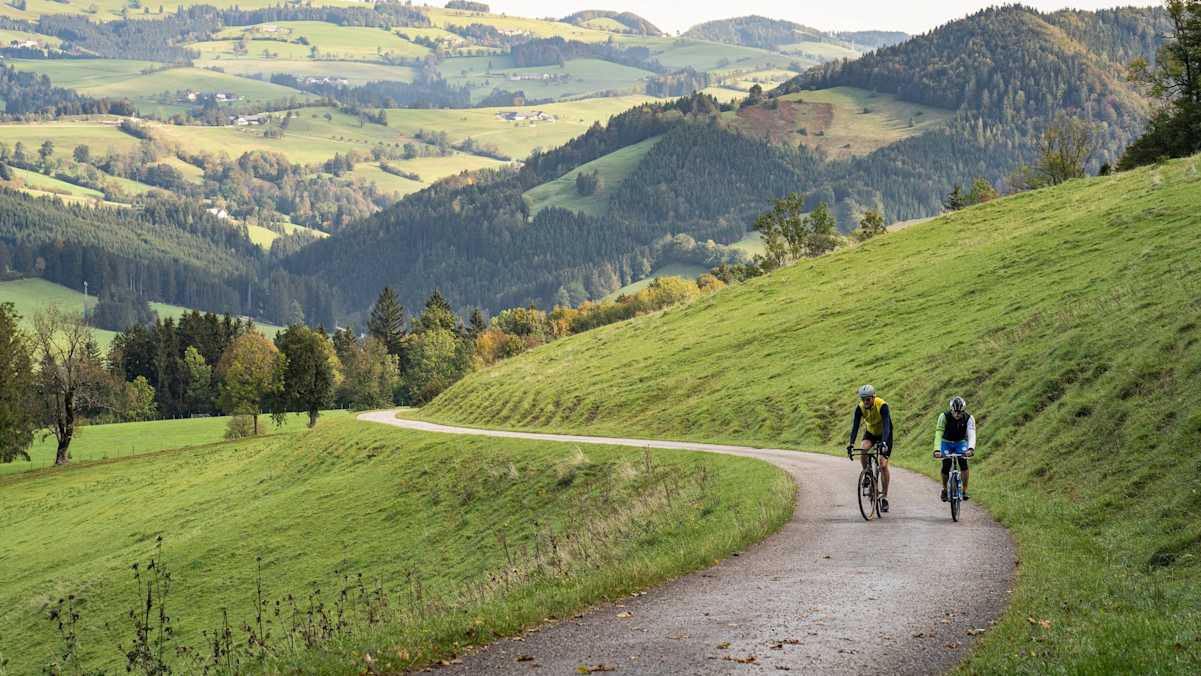 zwei Fahrradfahrer auf einer Kiesstraße bergauf im Hintergrund die Felder und Wiesen des Mostviertels