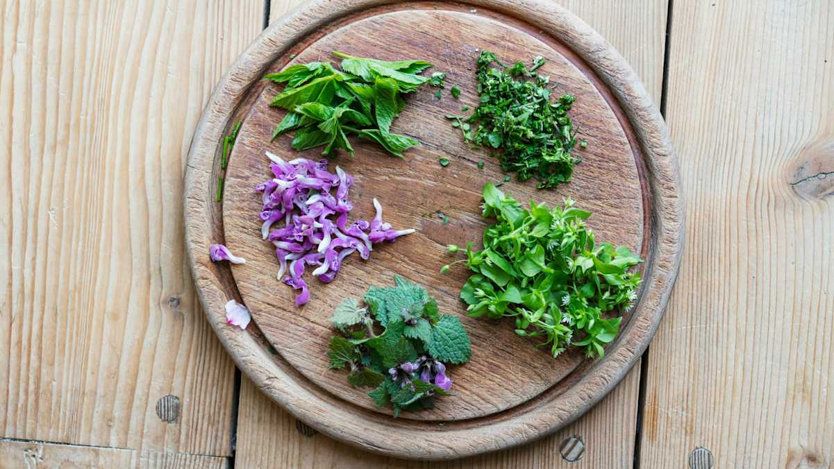 Behaartes Schaumkraut, Giersch, Vogelmiere, Taubnessel