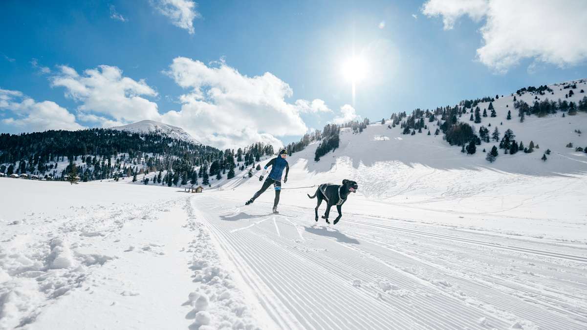 Anna Milazzi Skijöring