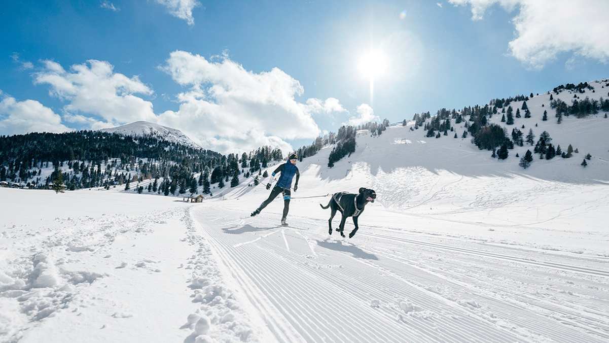 Anna Milazzi und ihr Hund Finn beim Skijöring