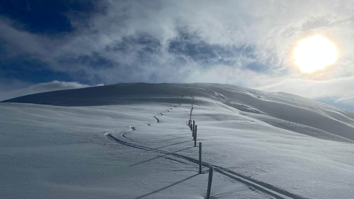 Blick von der Kölingscharte Richtung Schilchernock