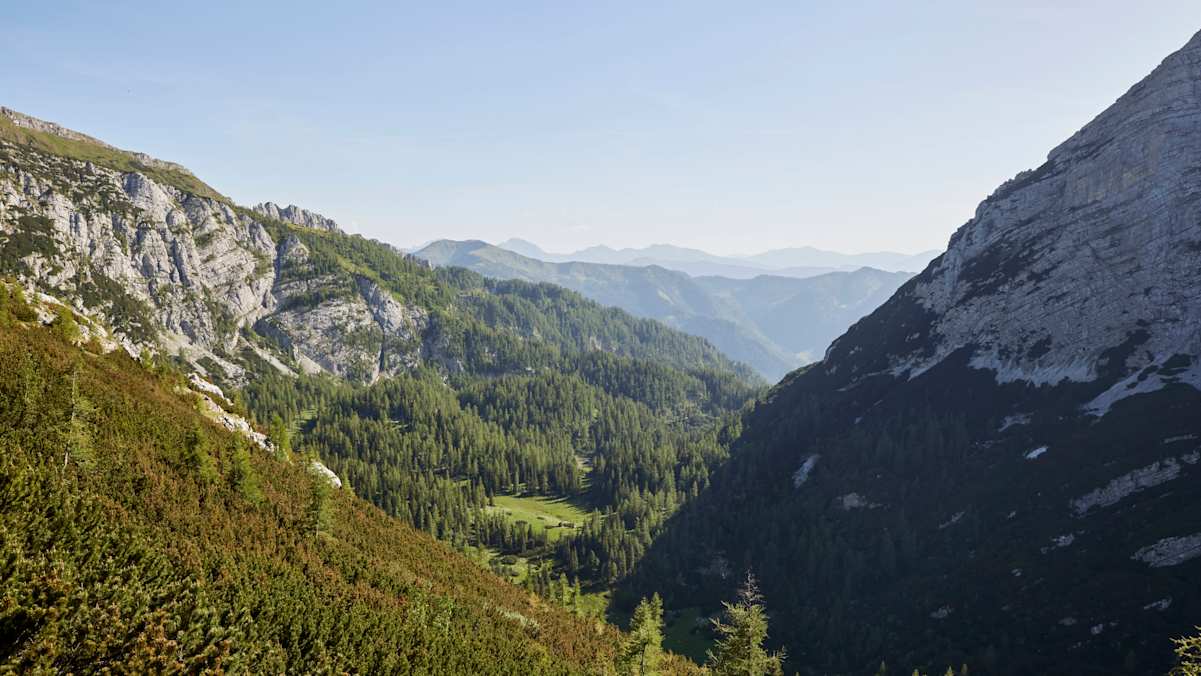 Nationalpark Gesäuse