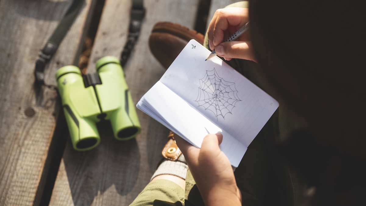 Wie richtige Forscher und Entdecker sammeln Kinder ihre Erkenntnisse über die Natur.
