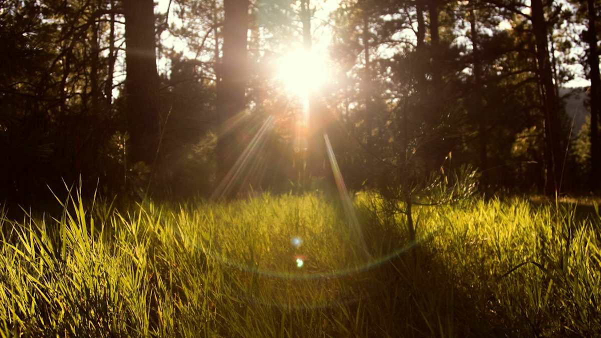 Sonnenzeiten: Wandern, wo die Sonne scheint