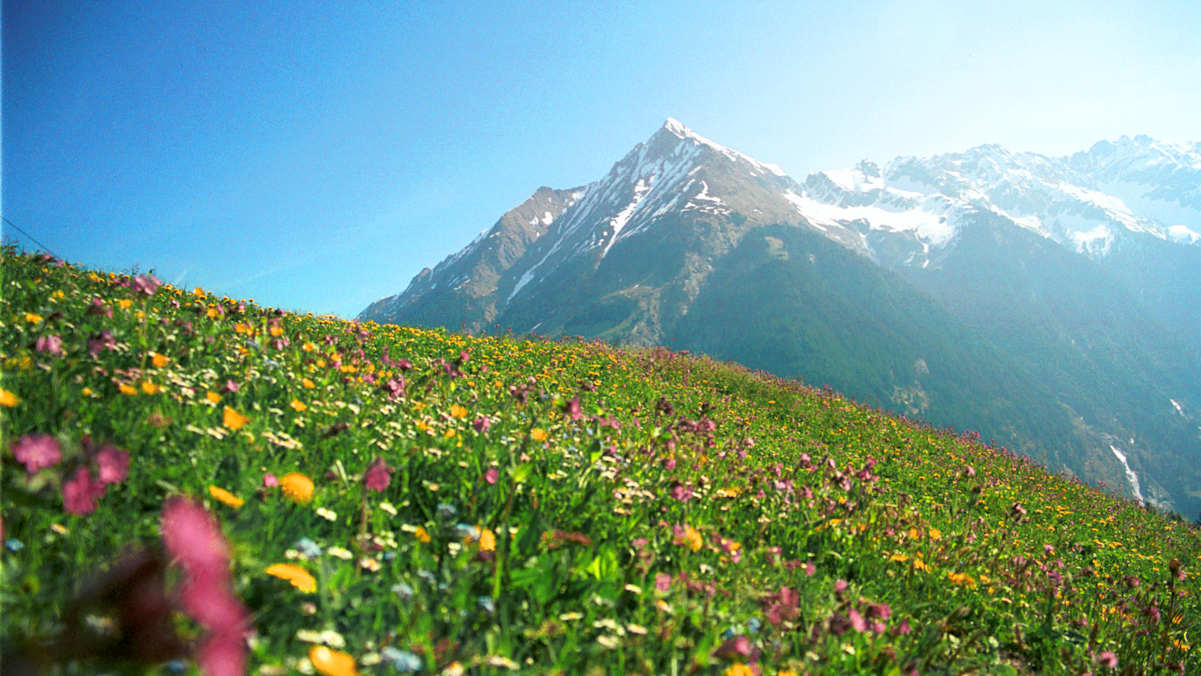 6 Hütten, die das Klima retten