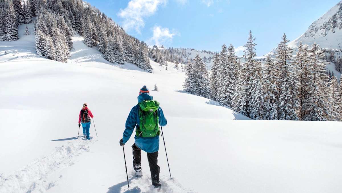 Schneeschuhwandern zwischen schneebedeckten Bäumen