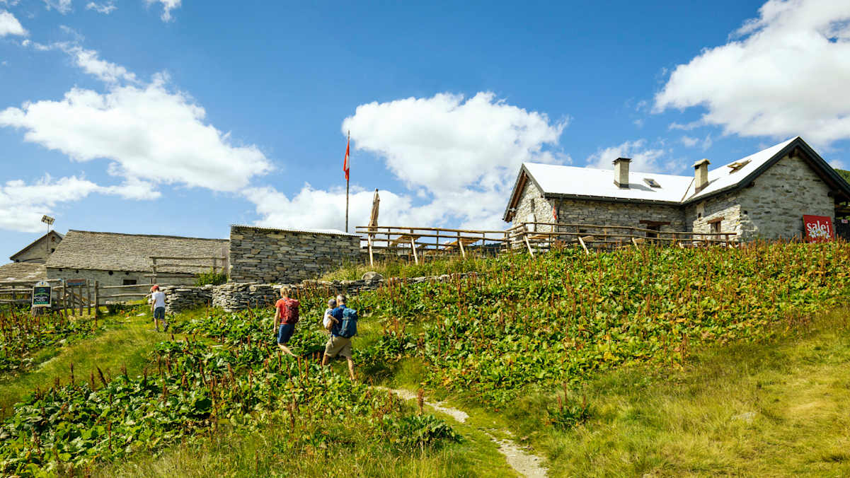 Wanderer erreichen eine kleine Berghütte.
