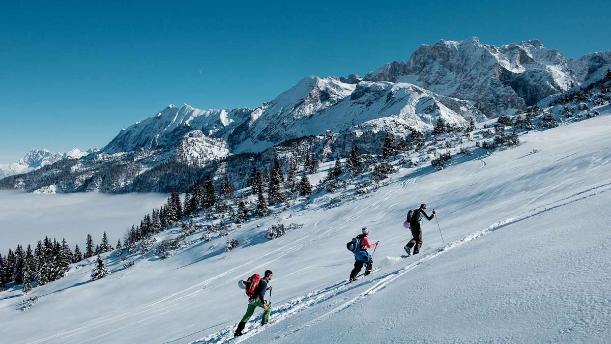 Die Gruppe beim Aufstieg