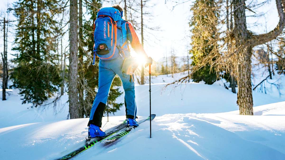Die Bergsteiger marschieren durch den Wald.