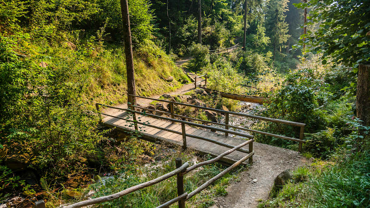 Die Wanderung entlang des Waalwegs von Schenna ist auch gut für Kinder geeignet.