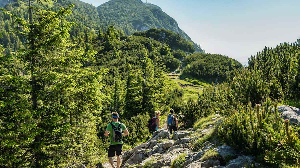 Unterwegs am Mairalmsteig, der ältesten und einfachsten Route auf den Traunstein. Links oben die Gmundner Hütte, vorn das Gipfelkreuz.