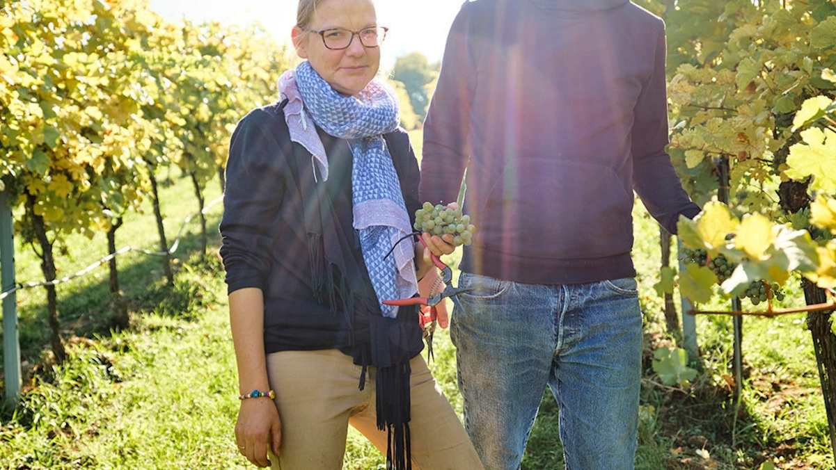 Winzer begutachten ihre Trauben.