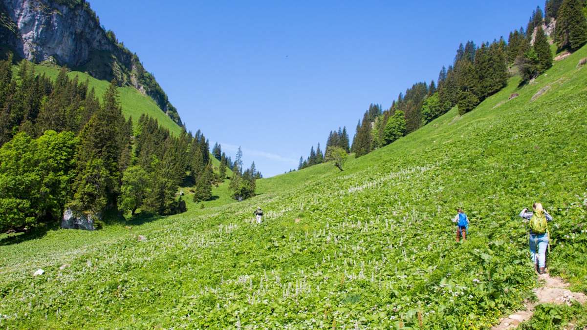 Kurz vor dem Bäckenalmsattel