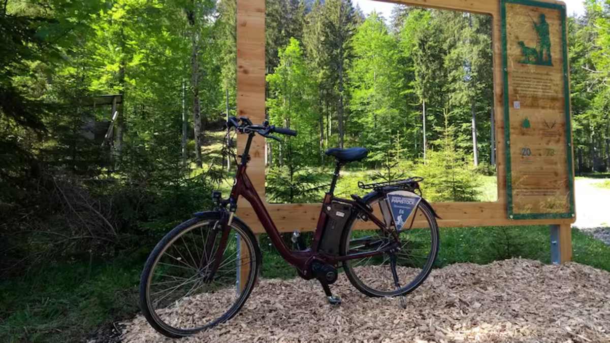 Am Waldblickweg im Naturpark Ammergauer Alpen