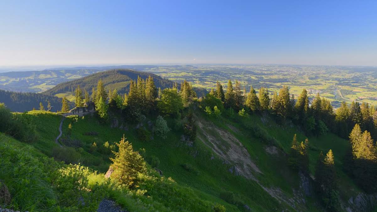 Aussicht vom Steinberg