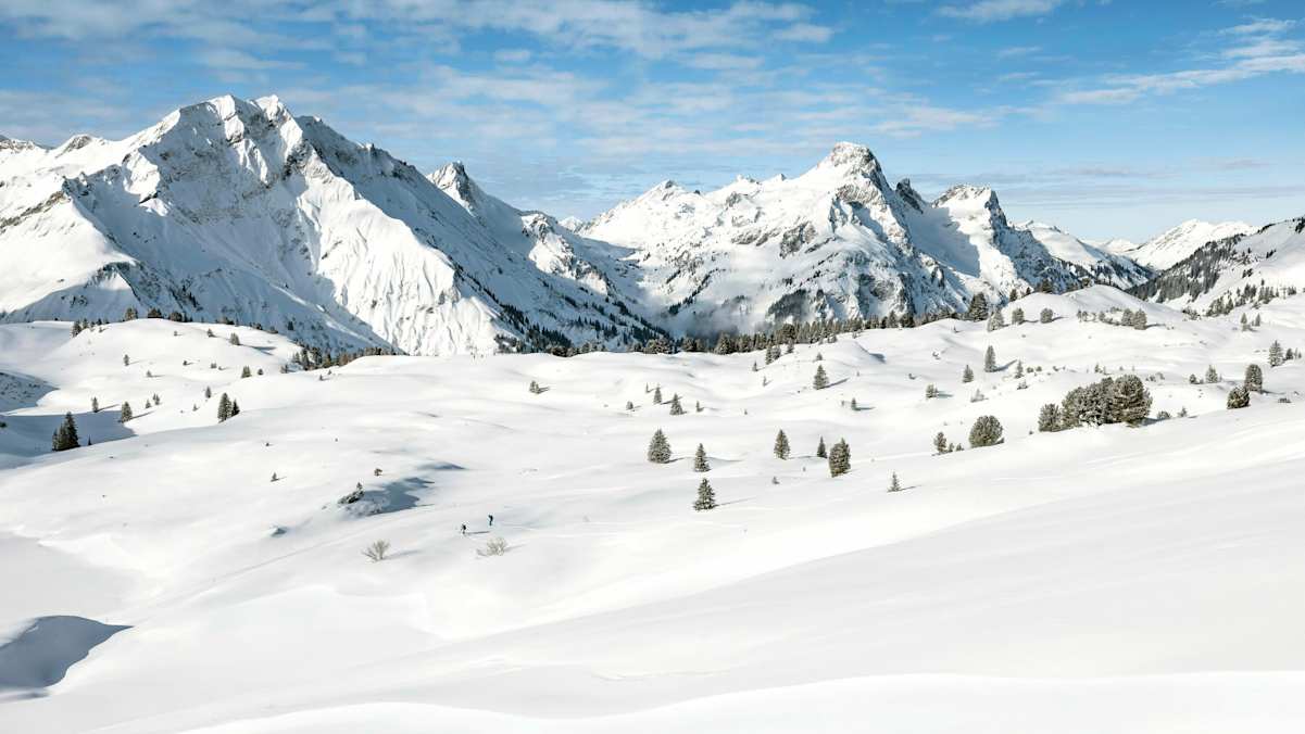 Freerider in Warth-Schröcken