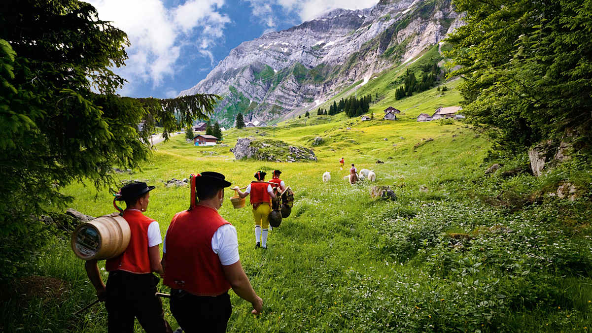 Appenzellerland: Alpfahrt auf der Schwaegalp 