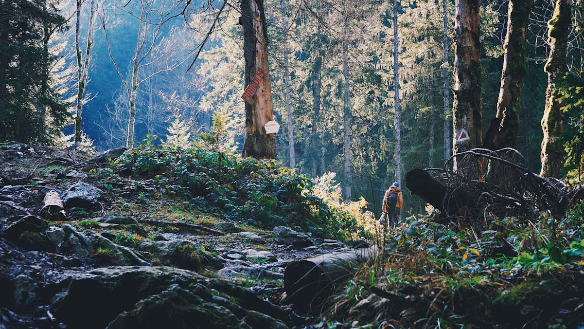 Fagaras-Berge Rumänien