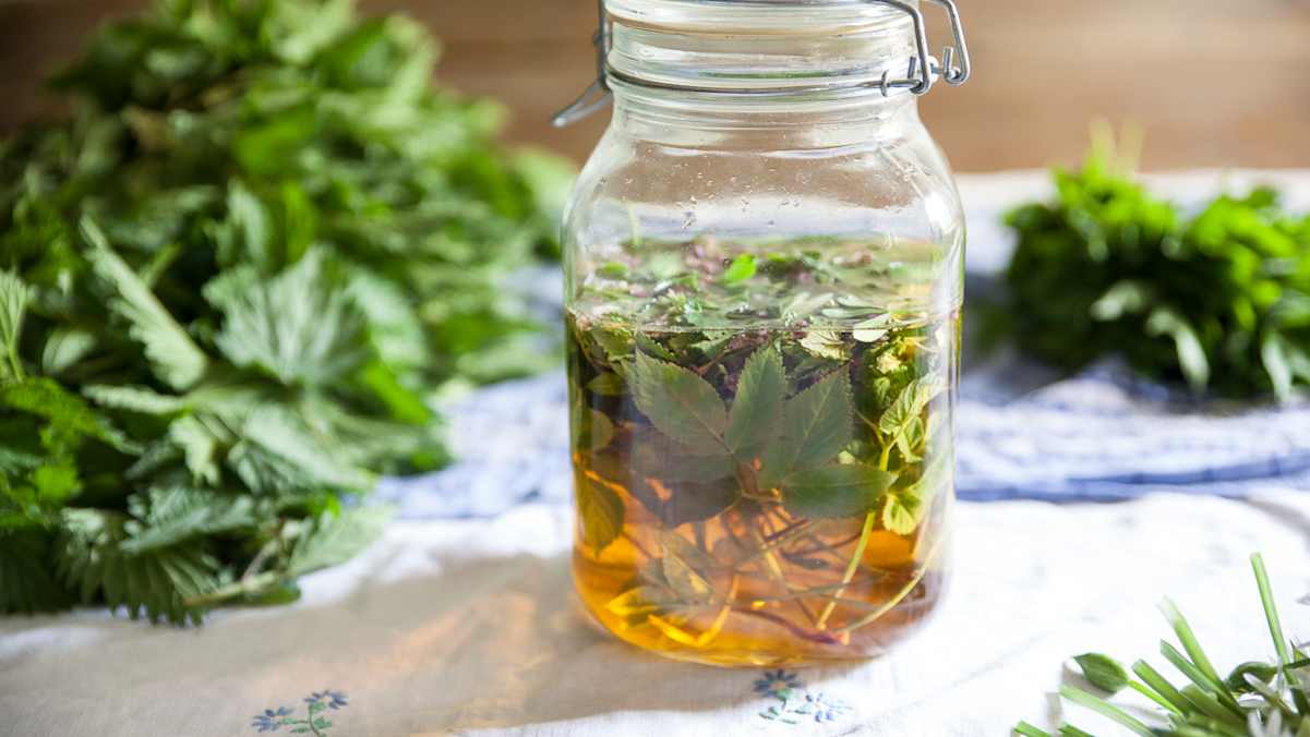 Wilder Frühlingskräuteressig