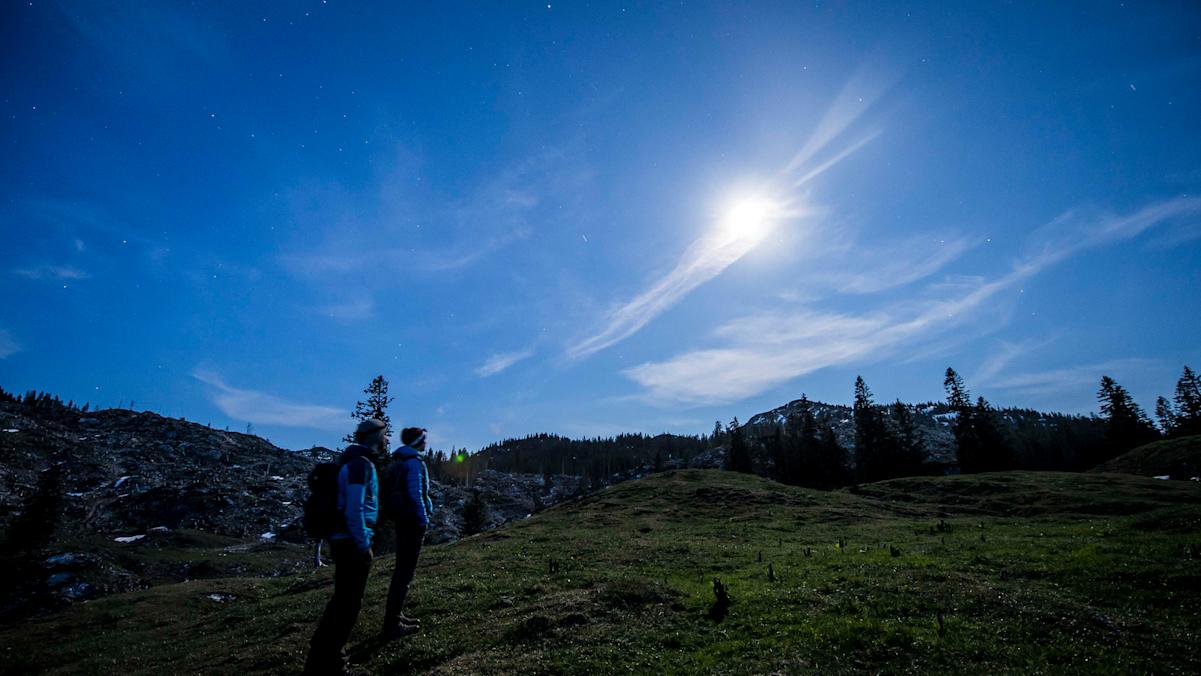 Eine sternenklare Nacht. 