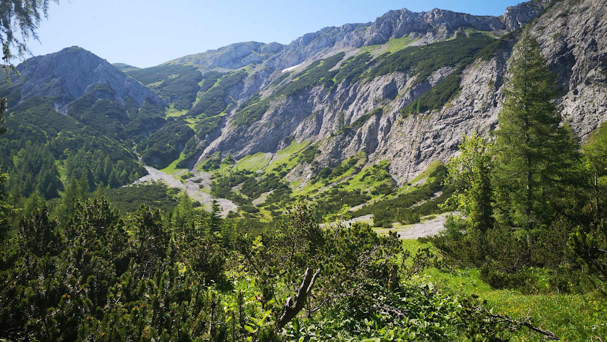 Blick auf das Steinalpl